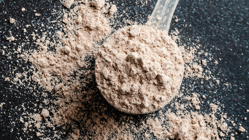The Totally different Types of Whey Protein And What’s Greatest For You