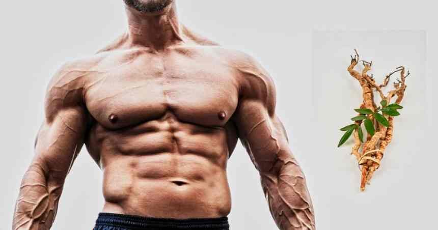 Can Tongkat Ali Enhance Your Testosterone?