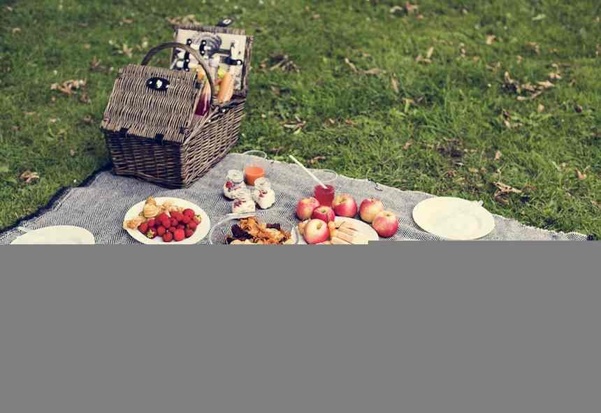 The Finest Picnic Spot in Each State